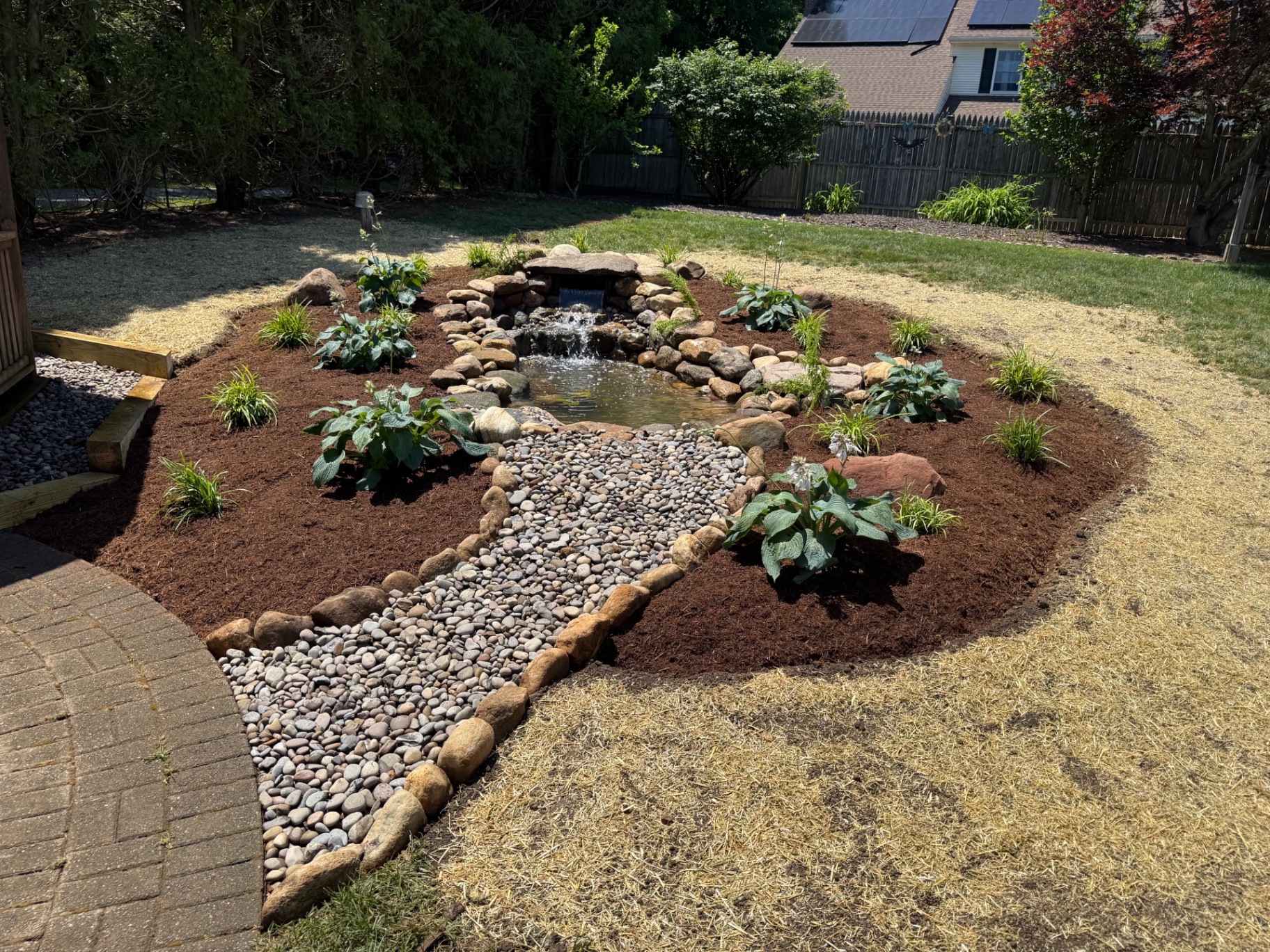 Completed backyard pond with waterfall, dry creek bed, and hosta plantings in Naugatuck, CT